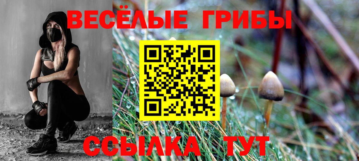 Галлюциногенные грибы мухоморы Рубцовск