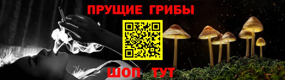 Галлюциногенные грибы мицелий  Галлюциногенные грибы прущие грибы  Рубцовск  Вход с VPN 
